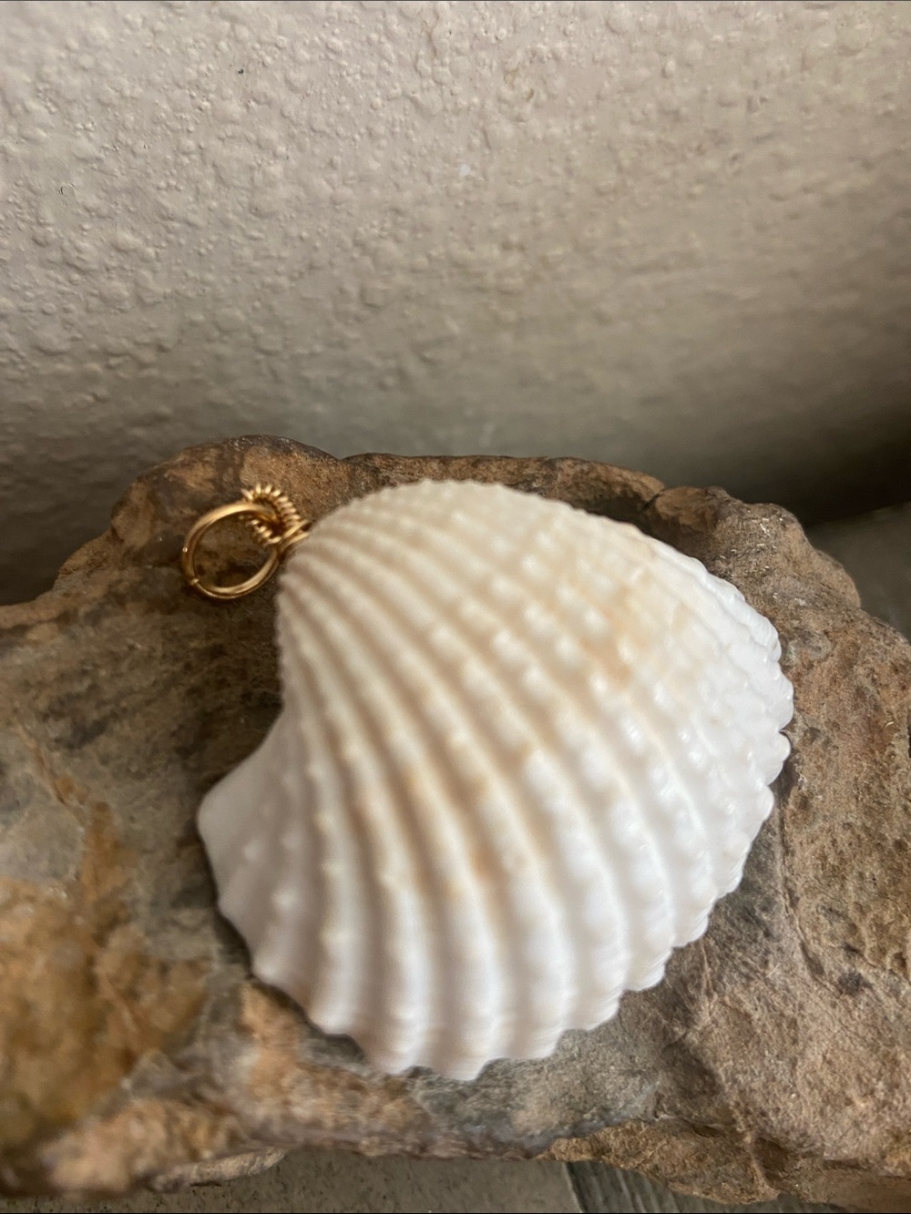 5/$10â¤ď¸â¤ď¸â¤ď¸NEW Handmade w Vintage Natural White Cockle Shell Pendant